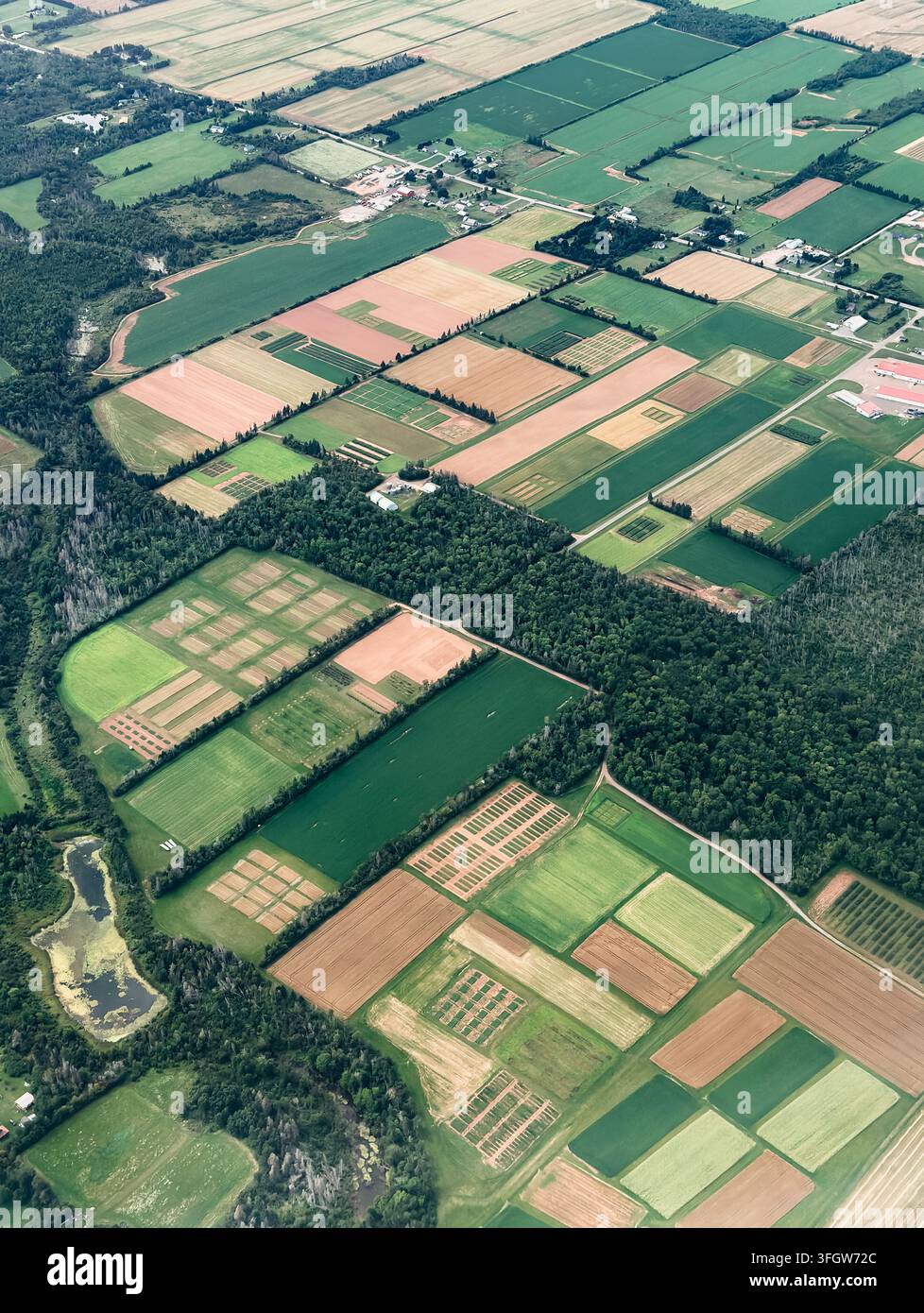 Una vista aerea dei campi agricoli a patchwork sull'PEI, Canada Foto Stock