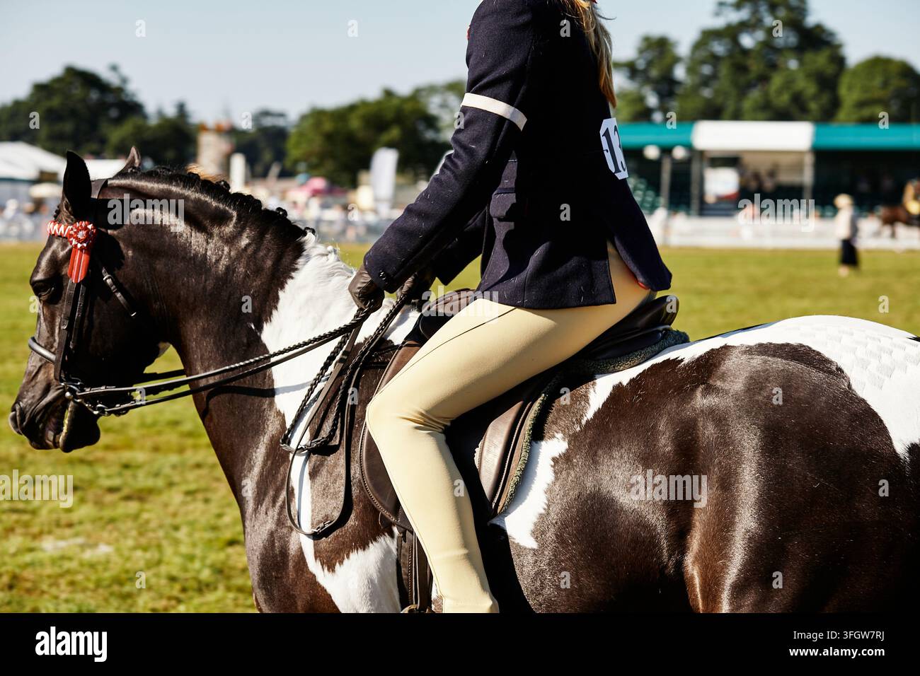 Cavallo piebaldo e cavaliere nell'anello di spettacolo alla fiera di campagna Foto Stock