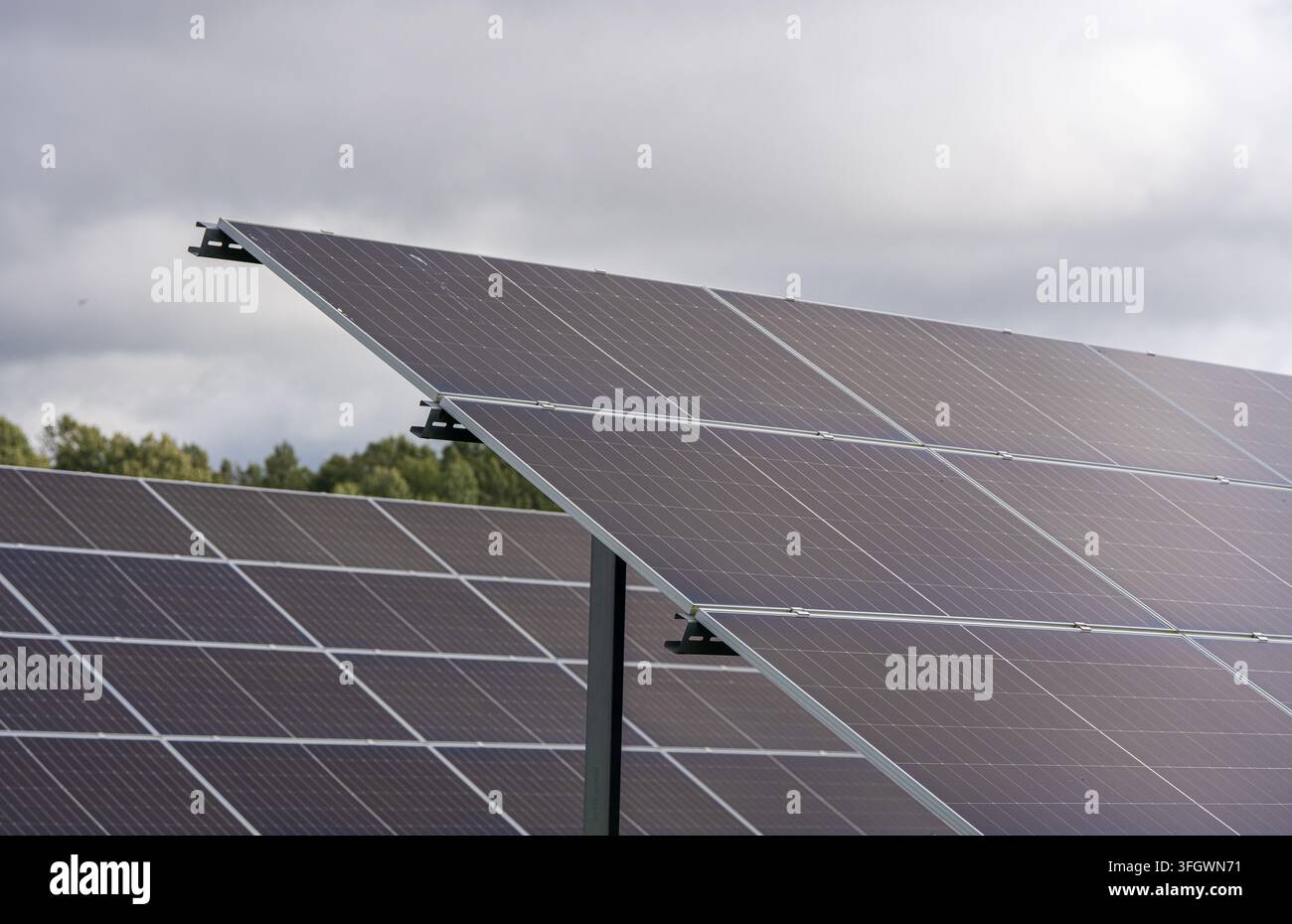 Panelli solari montati sul terreno su telai metallici sotto un cielo nuvoloso con alberi . Foto di alta qualità Foto Stock