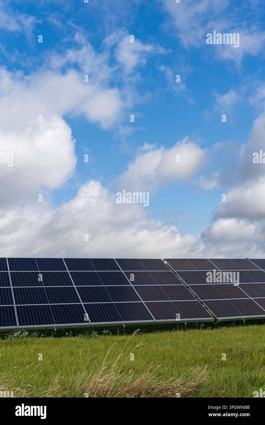 Panelli solari in un campo erboso sotto un cielo azzurro con nuvole bianche . Foto di alta qualità Foto Stock