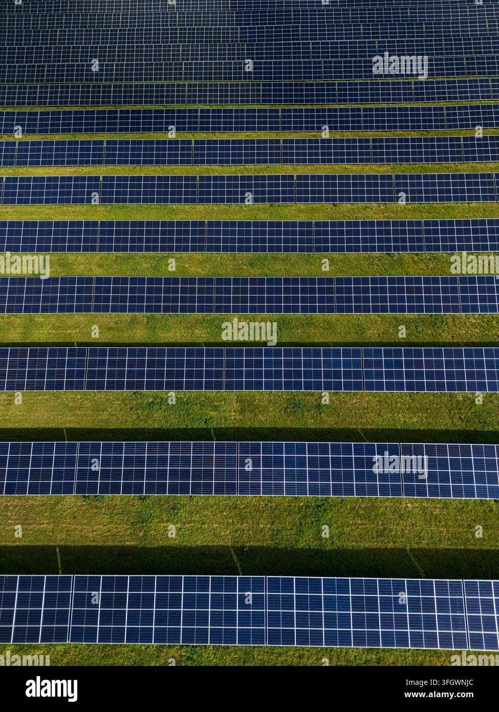 Vista aerea di file di pannelli solari su erba verde, fattoria fotovoltaica che genera elettricità rinnovabile. Foto di alta qualità Foto Stock