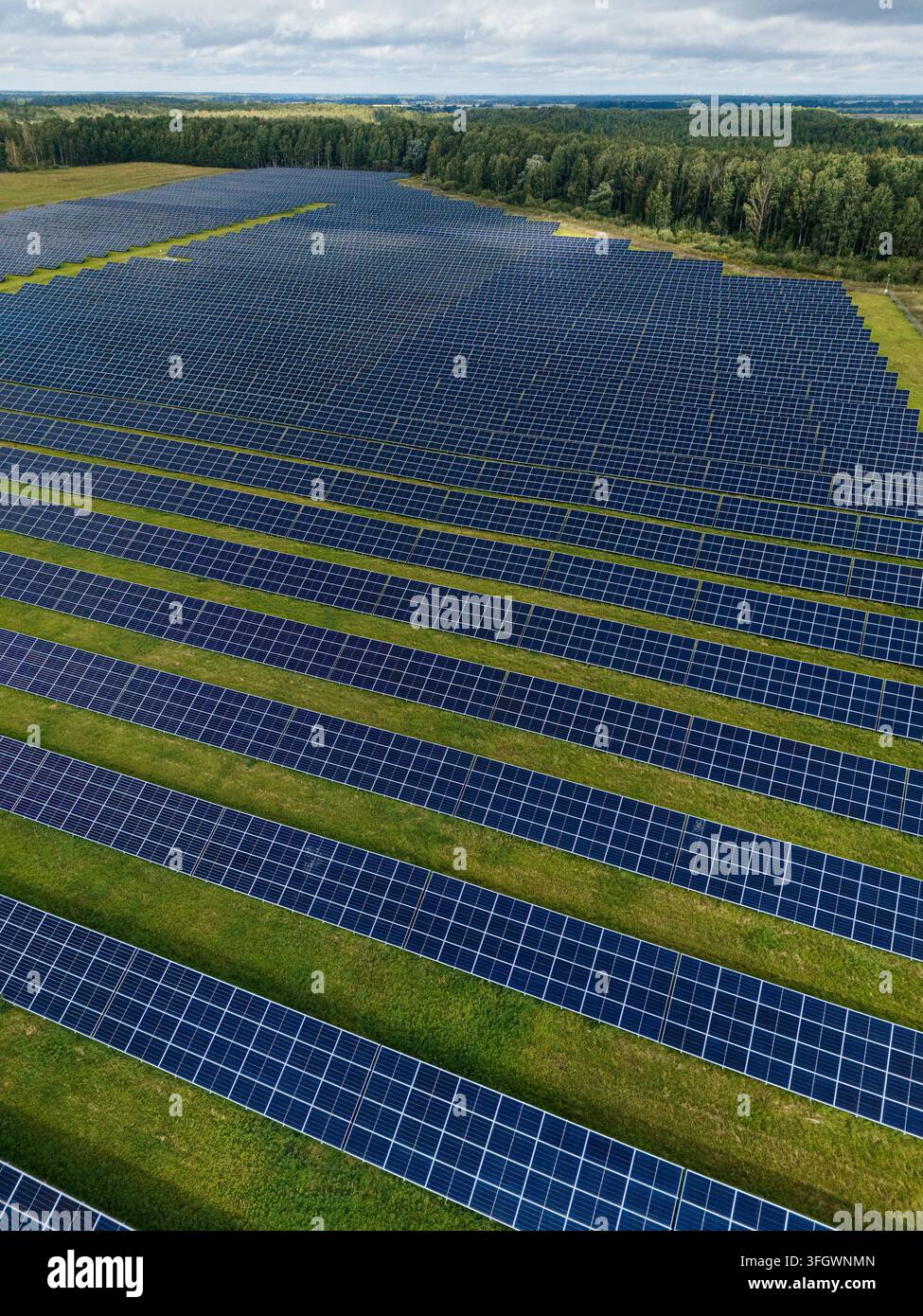 Vista aerea di file di pannelli solari su erba verde, fattoria fotovoltaica che genera elettricità rinnovabile. Foto di alta qualità Foto Stock