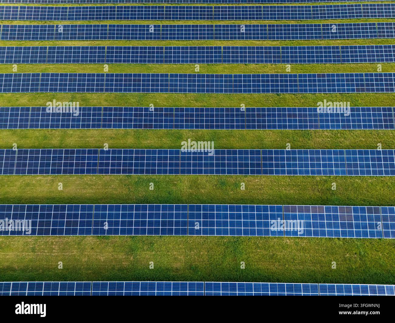 Vista aerea di file di pannelli solari su erba verde, fattoria fotovoltaica che genera elettricità rinnovabile. Foto di alta qualità Foto Stock