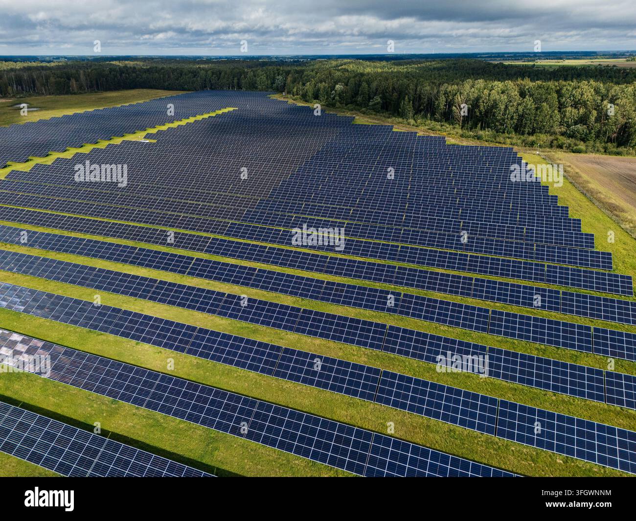Vista aerea di file di pannelli solari su erba verde, fattoria fotovoltaica che genera elettricità rinnovabile. Foto di alta qualità Foto Stock