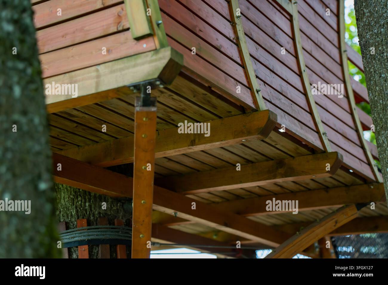 Pavimento in legno di una casa sull'albero sostenuto da travi e pilastri accanto a tronchi di alberi viventi, rappresentante l'assemblaggio strutturale del legno e la costruzione di spazi elevati Foto Stock