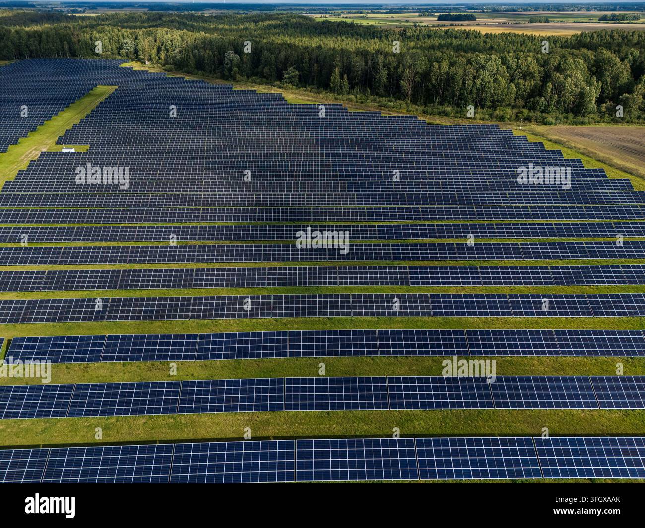 Vista aerea di una grande fattoria solare con file di pannelli fotovoltaici blu e vialetti erbosi delimitati dalla foresta, produzione rurale di energia rinnovabile. Alto Foto Stock