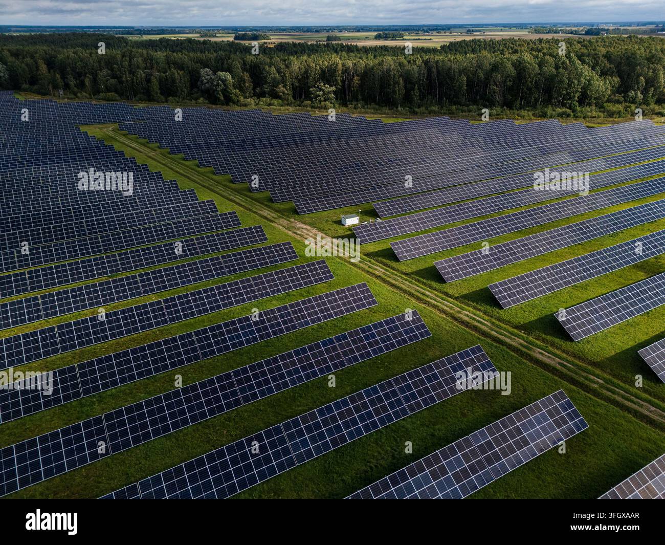 Vista aerea di una fattoria solare con lunghe file di pannelli fotovoltaici su campi verdi accanto a una foresta, generazione di energia rinnovabile in un paesaggio rurale Foto Stock