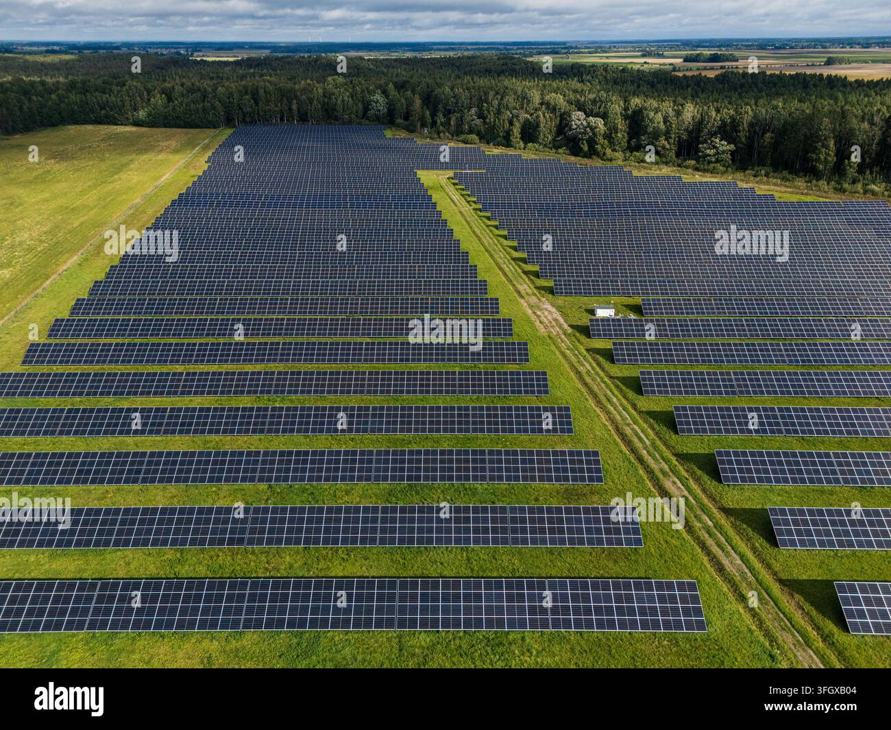 Vista aerea di una grande fattoria solare con file di pannelli fotovoltaici blu e vialetti erbosi delimitati dalla foresta, produzione rurale di energia rinnovabile. Alto Foto Stock
