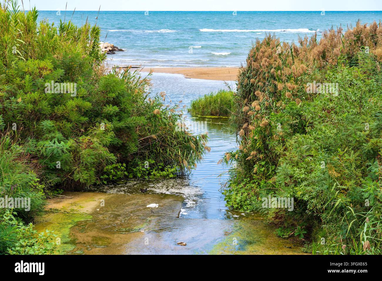 Vista dell'imboccatura del Fosso Vallelunga, Pescara, Italia. Vista dell'imboccatura del Fosso Vallelunga con un airone che si immerge. Pescara, Italia. Foto Stock
