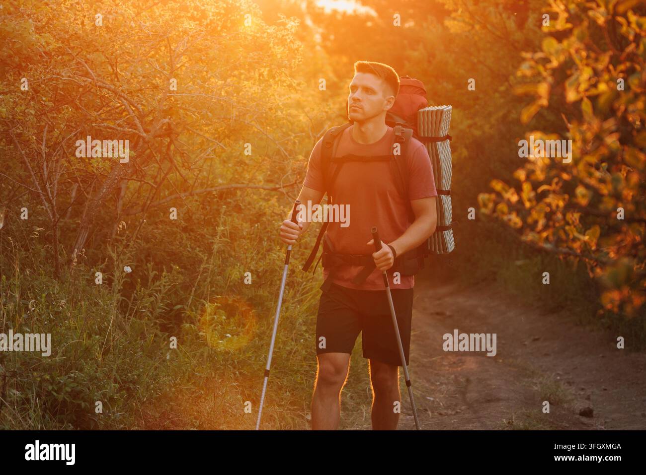 Escursionista con zaino nel bosco al tramonto dorato con luce calda e bagliore della lente. Foto Stock