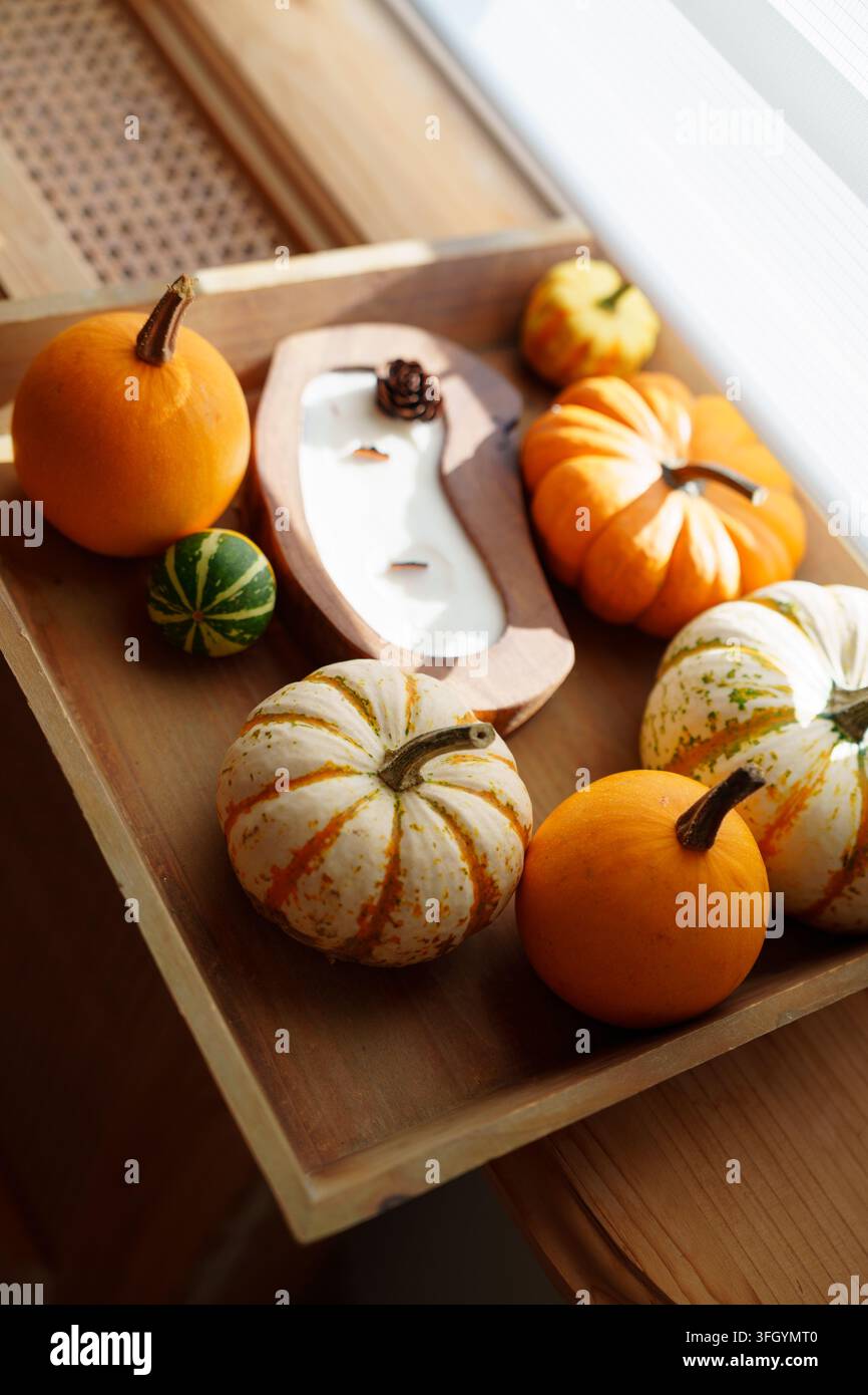 Zucche d'autunno su vassoio di legno vicino alla finestra soleggiata a casa Foto Stock