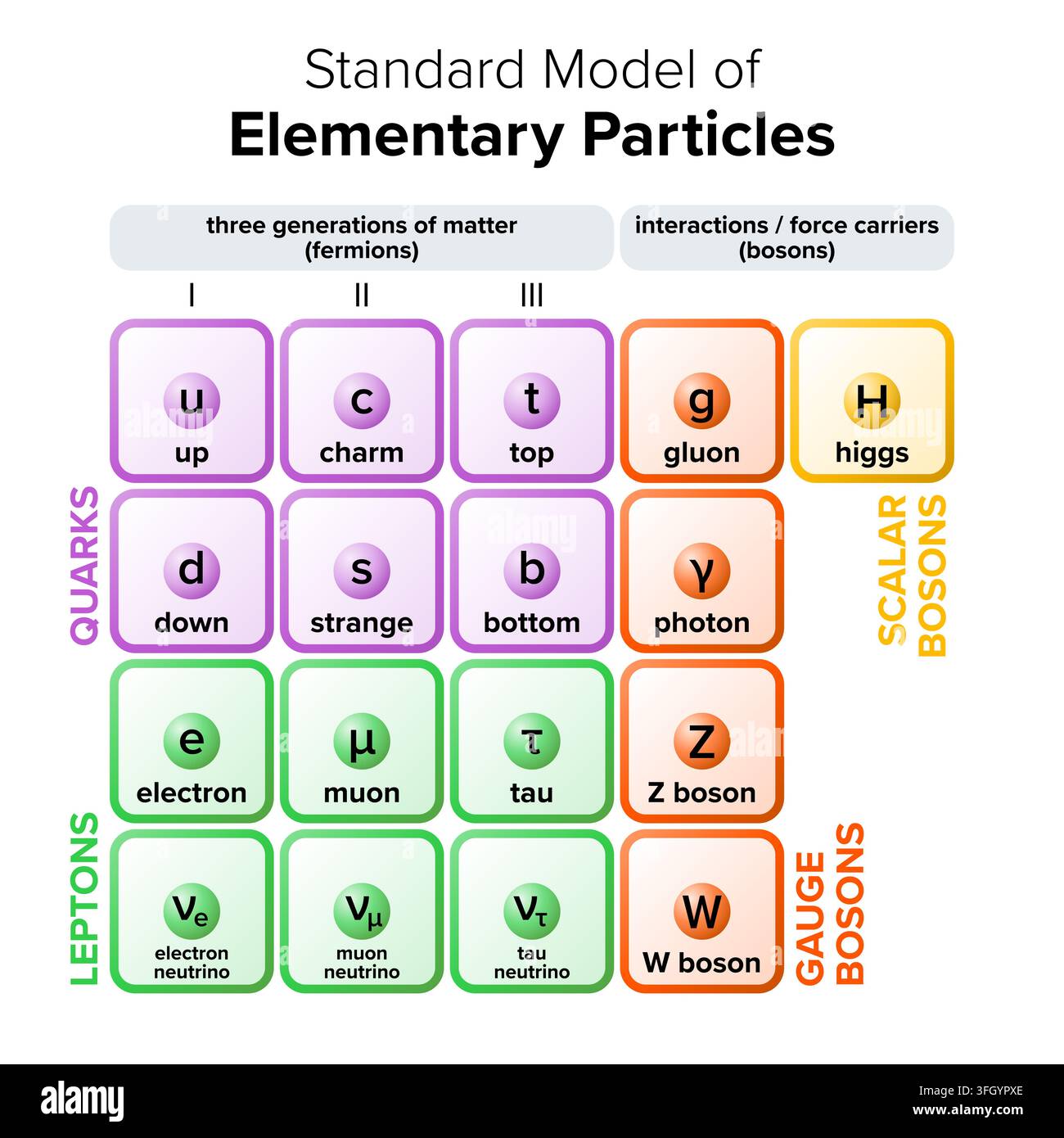 Modello standard delle particelle elementari, che mostra 17 particelle subatomiche fondamentali non composte da altre particelle. Foto Stock
