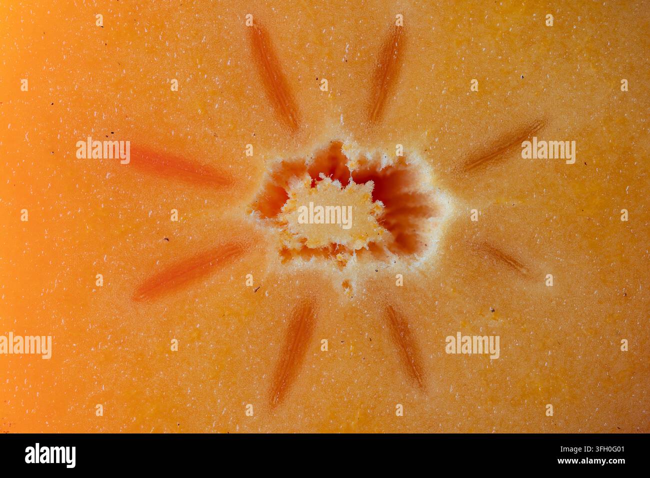 Persimmon arancio, tagliato a metà con la consistenza di semi e polpa. Primo piano delle sezioni di permimon, vista dall'alto, macro Foto Stock