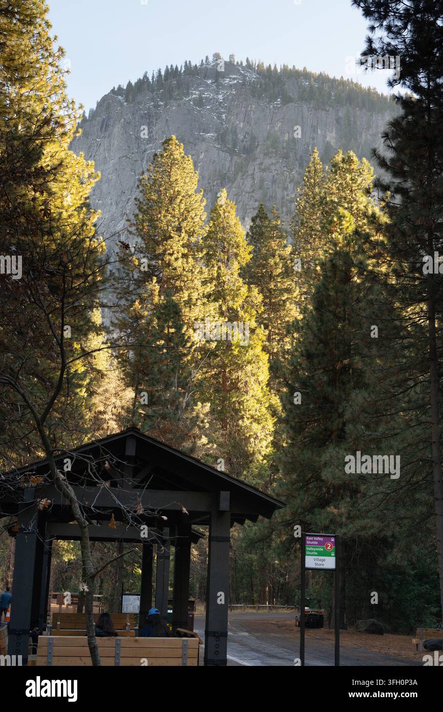 I visitatori si riposano alla fermata dello shuttle 2 di Yosemite Valley vicino a El Capitan nel Parco Nazionale di Yosemite, in attesa dei trasporti del parco. Foto Stock