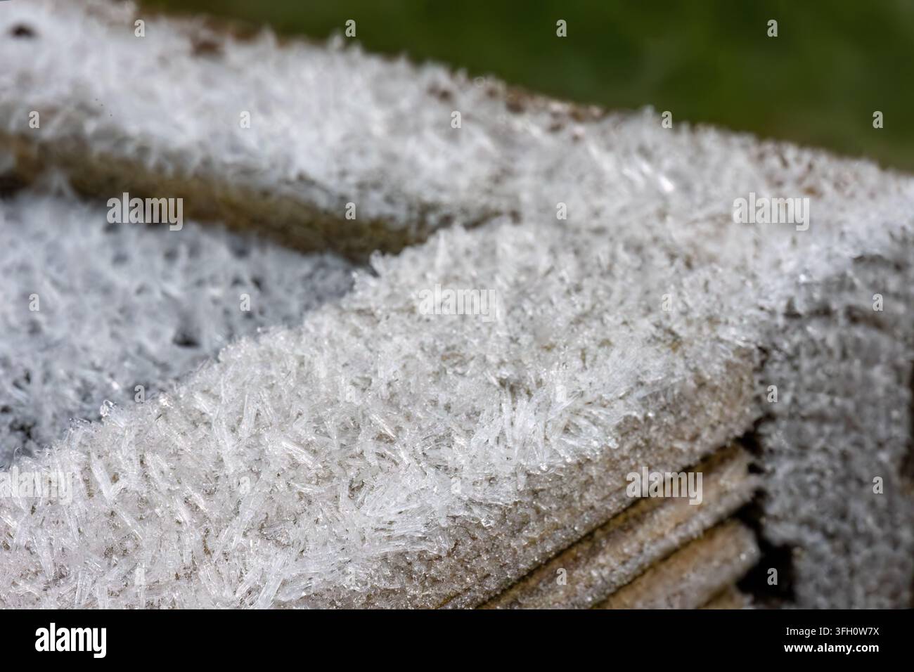 Dettaglio macro di cristalli di brina a forma di ago che ricoprono i bordi di legno consumati di un letto rialzato per orti, il fogliame verde sfocato dolcemente sullo sfondo Foto Stock
