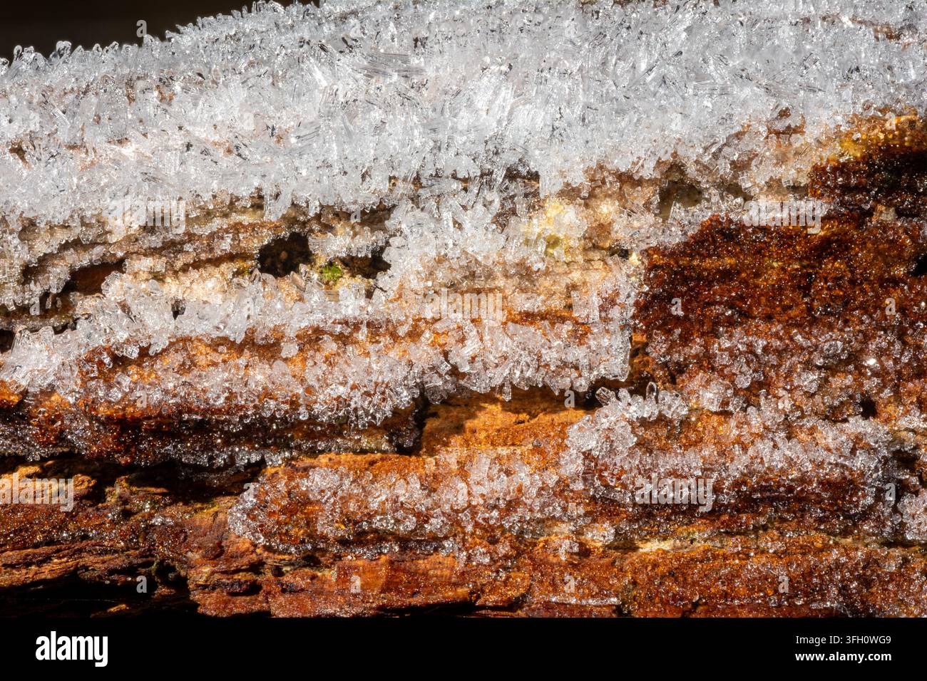 Dettaglio macro di cristalli di ghiaccio traslucidi formatisi su una venatura del legno stratificata e in decomposizione, che rivelano toni ambrati e marrone ruggine sotto il ghiaccio bianco a wi Foto Stock