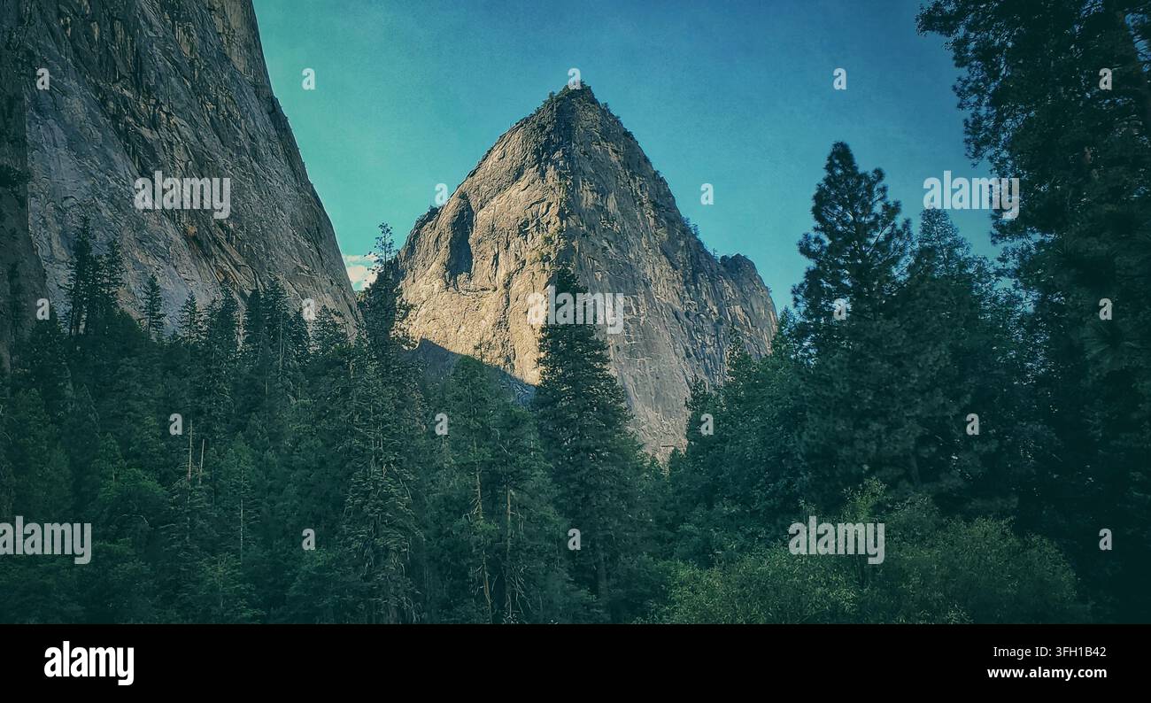 Maestoso picco di granito di Cathedral Rock che si erge sopra la chioma lussureggiante della foresta di pini a Yosemite Foto Stock