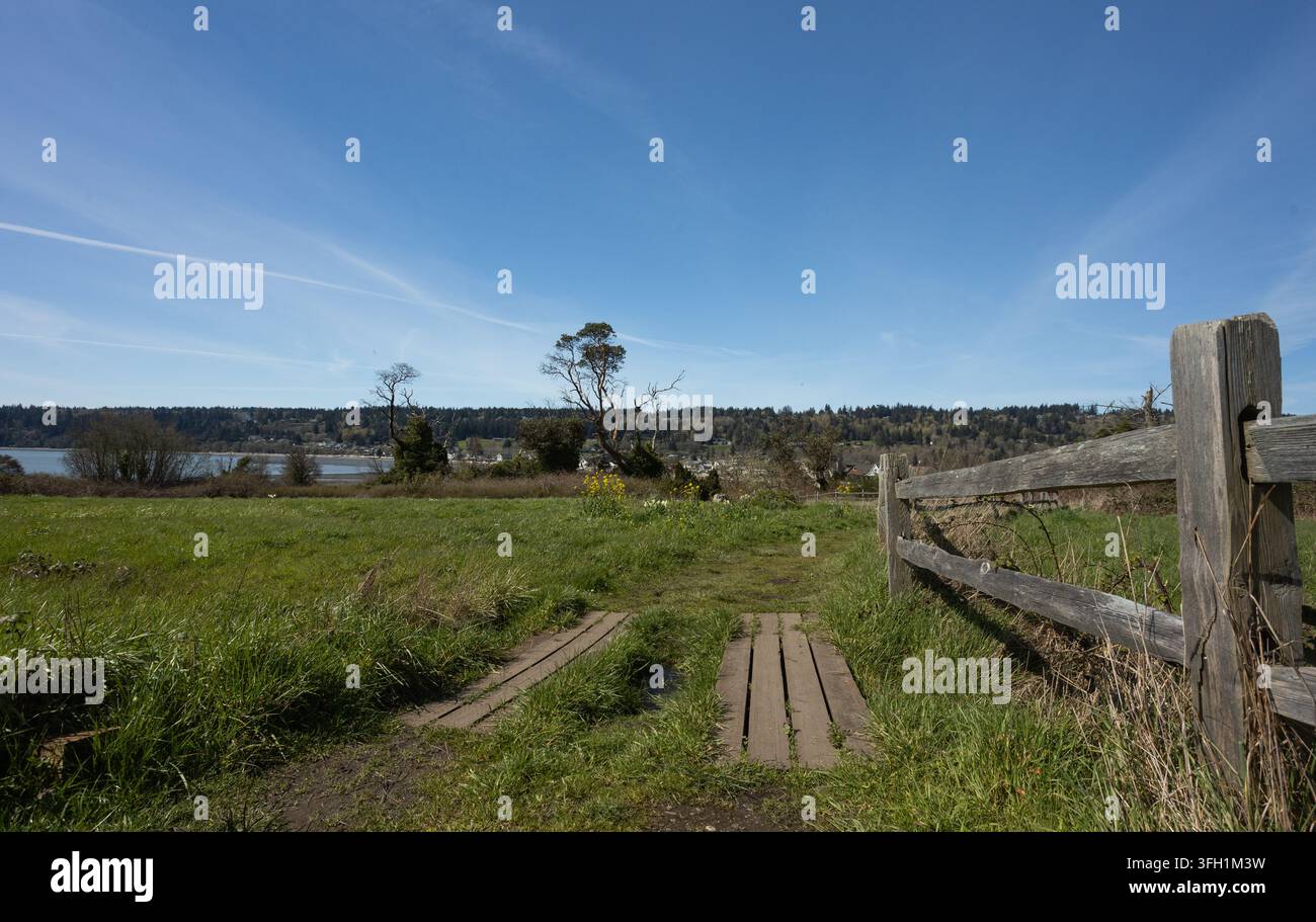 Una recinzione di legno rustica segue un sentiero pedonale erboso con un attraversamento in tavola semplice, campo aperto, acqua e riva boscosa in lontananza. Foto Stock