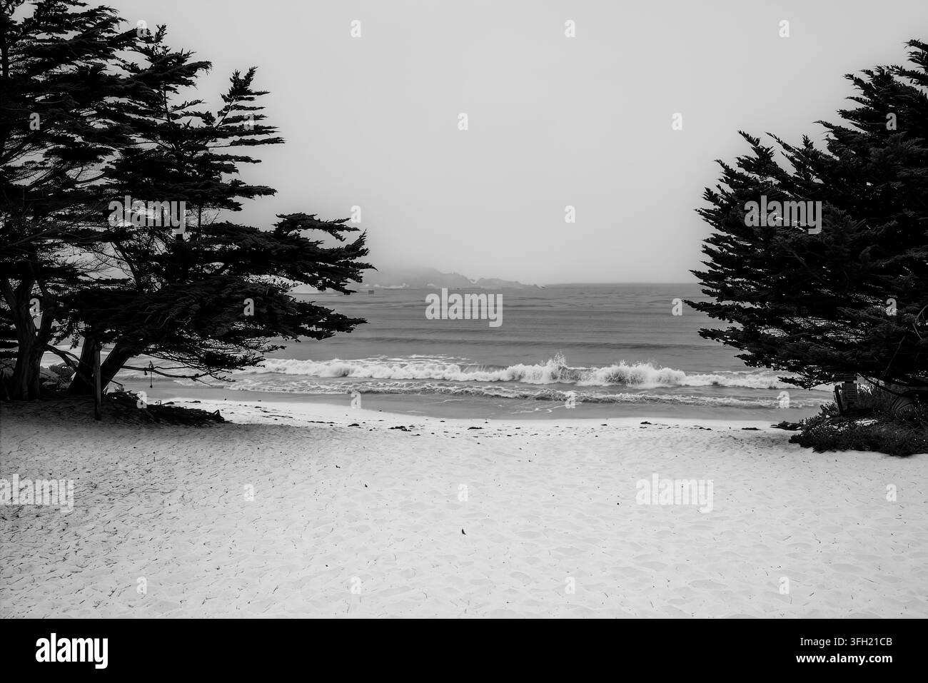 Onde che si infrangono su Carmel Beach sotto cipressi di Monterey modellati dal vento in una giornata nebbiosa, Point Lobos oltre, Carmel-by-the-Sea, California Foto Stock