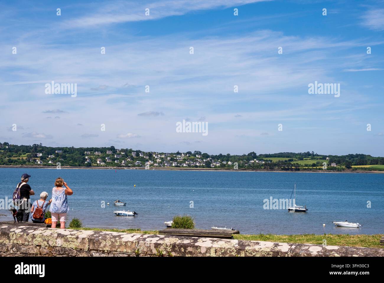 Landevennec (Bretagna, nord-ovest della Francia): vista dell'estremità meridionale del porto di Brest con le case lungo il lungofiume del Traon, città di L'Hôpit Foto Stock