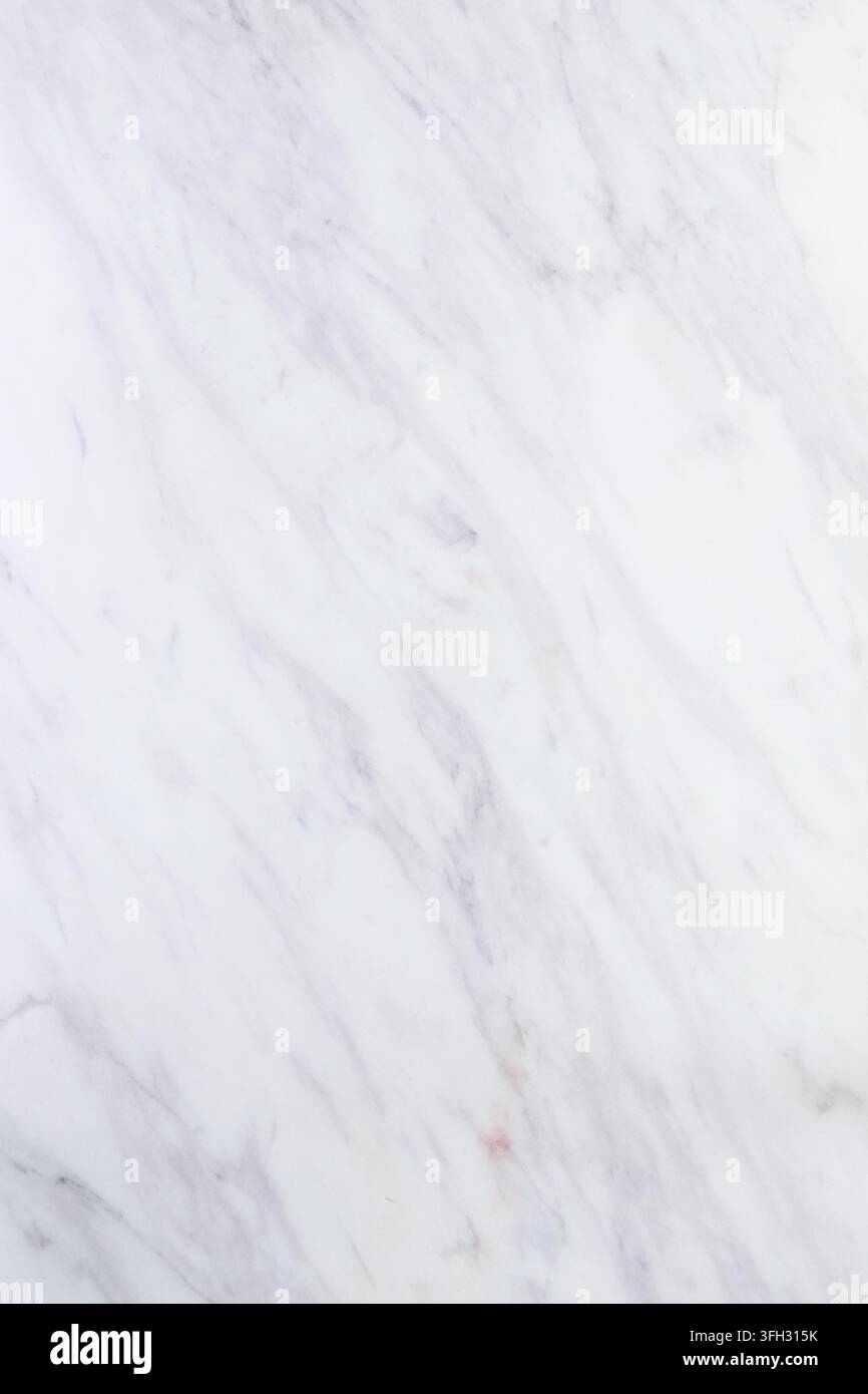 Lussuosa texture di marmo bianco con sottili venature grigie sullo sfondo Foto Stock