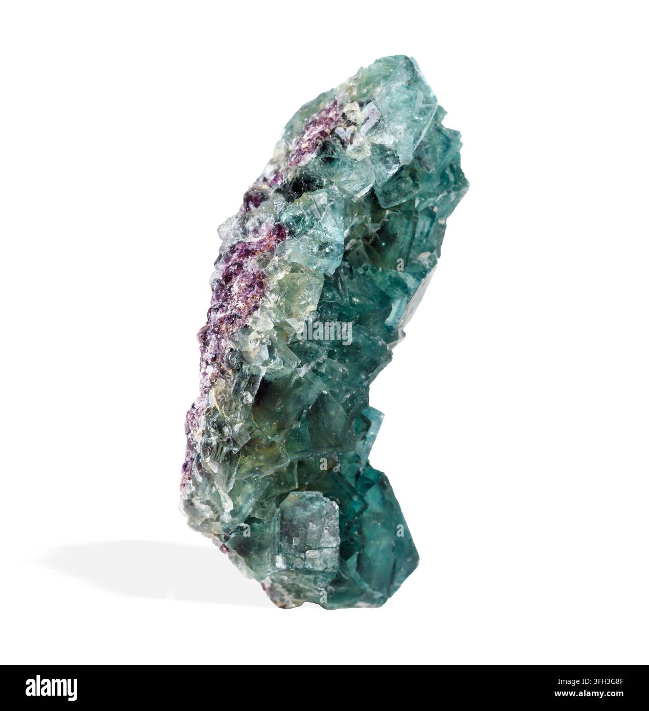 Immagine ad alta risoluzione di una formazione di fluorite verde con cristalli cubici interconnessi e variazioni naturali di chiarezza e colore. Isolata su un Foto Stock