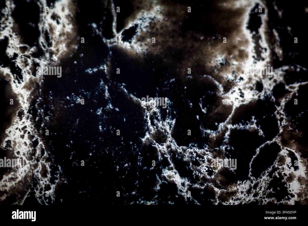 Primo piano di una superficie in pietra di marmo lucida nera e marrone scuro con venature bianche naturali e intricati motivi astratti di texture. Foto Stock