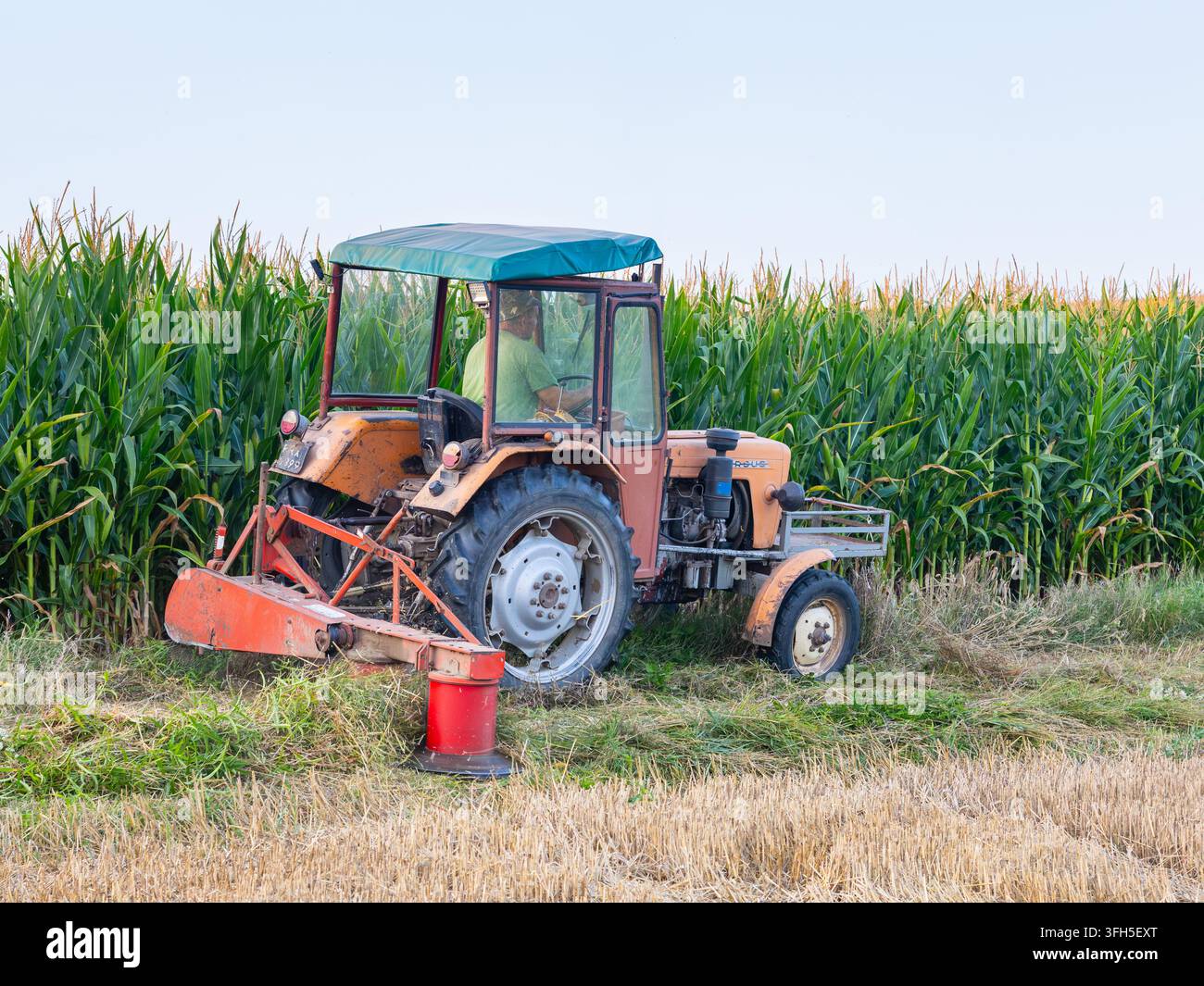 Vecchio trattore agricolo parcheggiato accanto a un campo di mais maturo con attrezzatura da taglio attaccata Foto Stock
