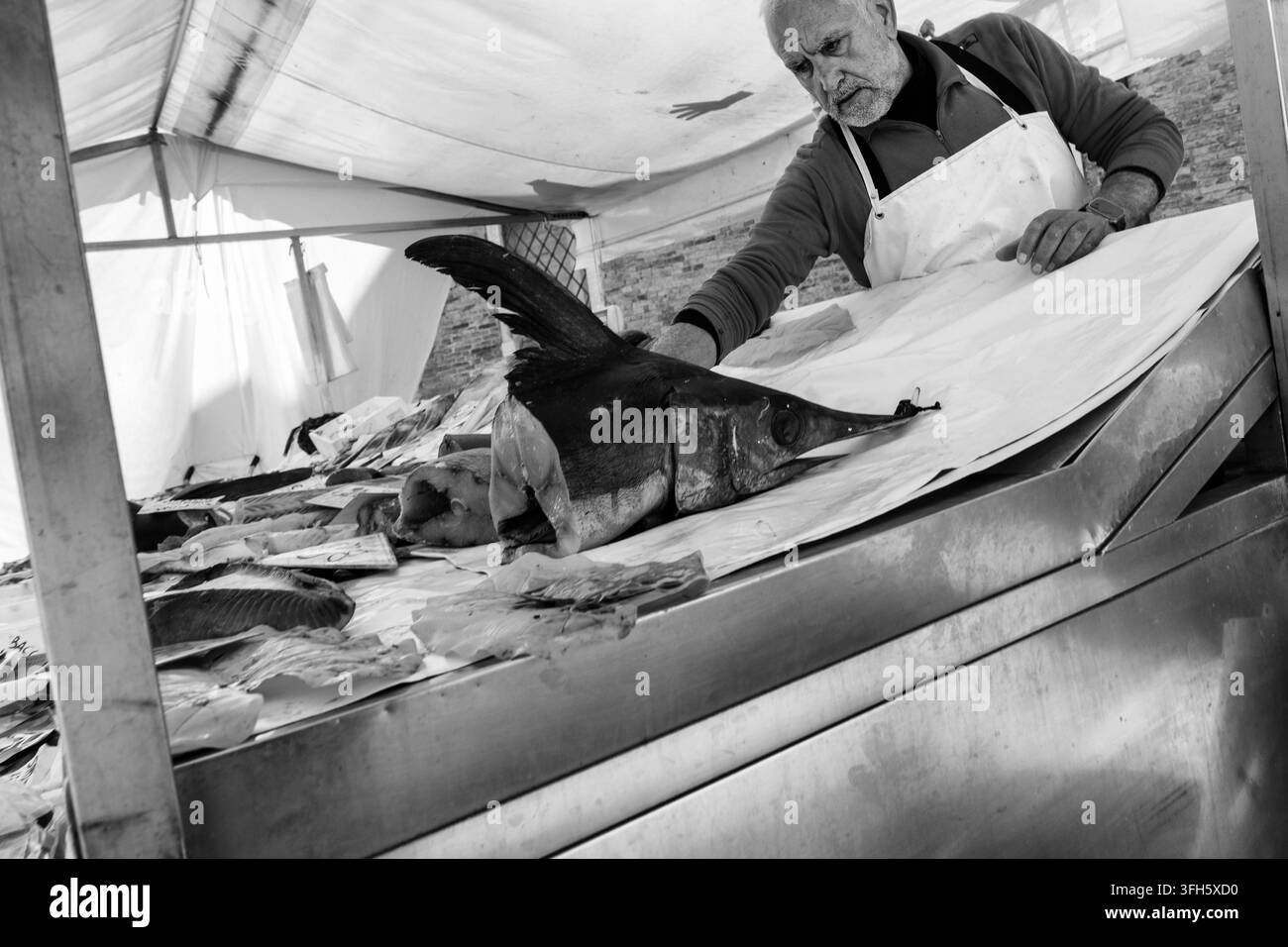 Foto in bianco e nero di un pescivendolo che maneggia un grosso pesce spada a una bancarella del mercato all'aperto a Campo Santa Margherita, Venezia, Italia Foto Stock