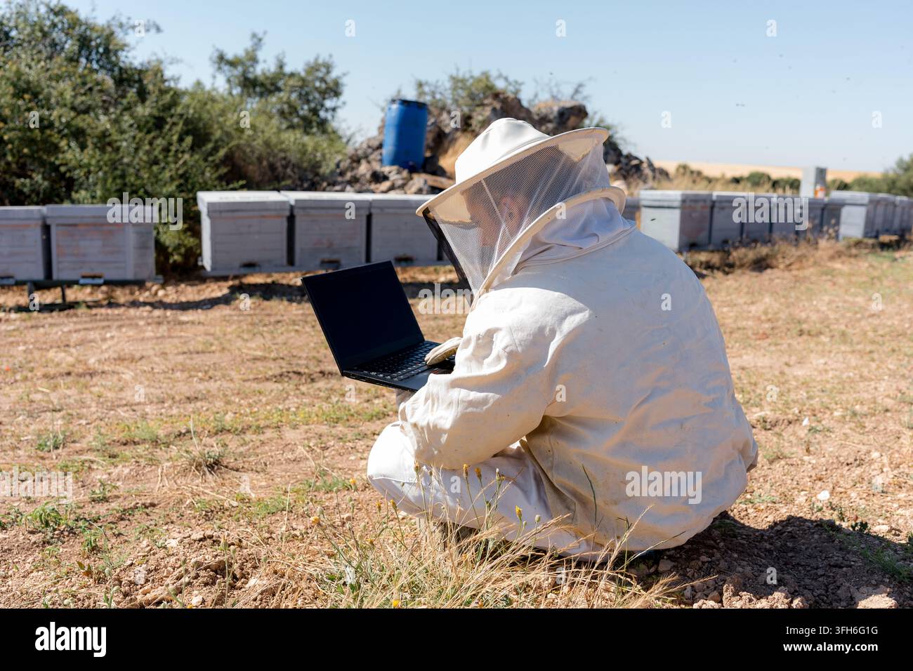 Apicoltore in tuta protettiva utilizza un laptop mentre è accovacciato accanto a file di alveari in un apiario rurale soleggiato, monitorando l'attività della colonia e il miele moderno Foto Stock