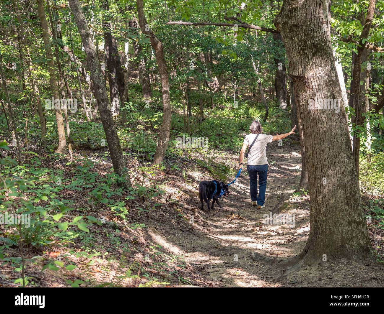 Donna che fa escursioni con un cane attraverso i boschi della Clemmons Educational State Forest a Clayton, North Carolina. Foto Stock