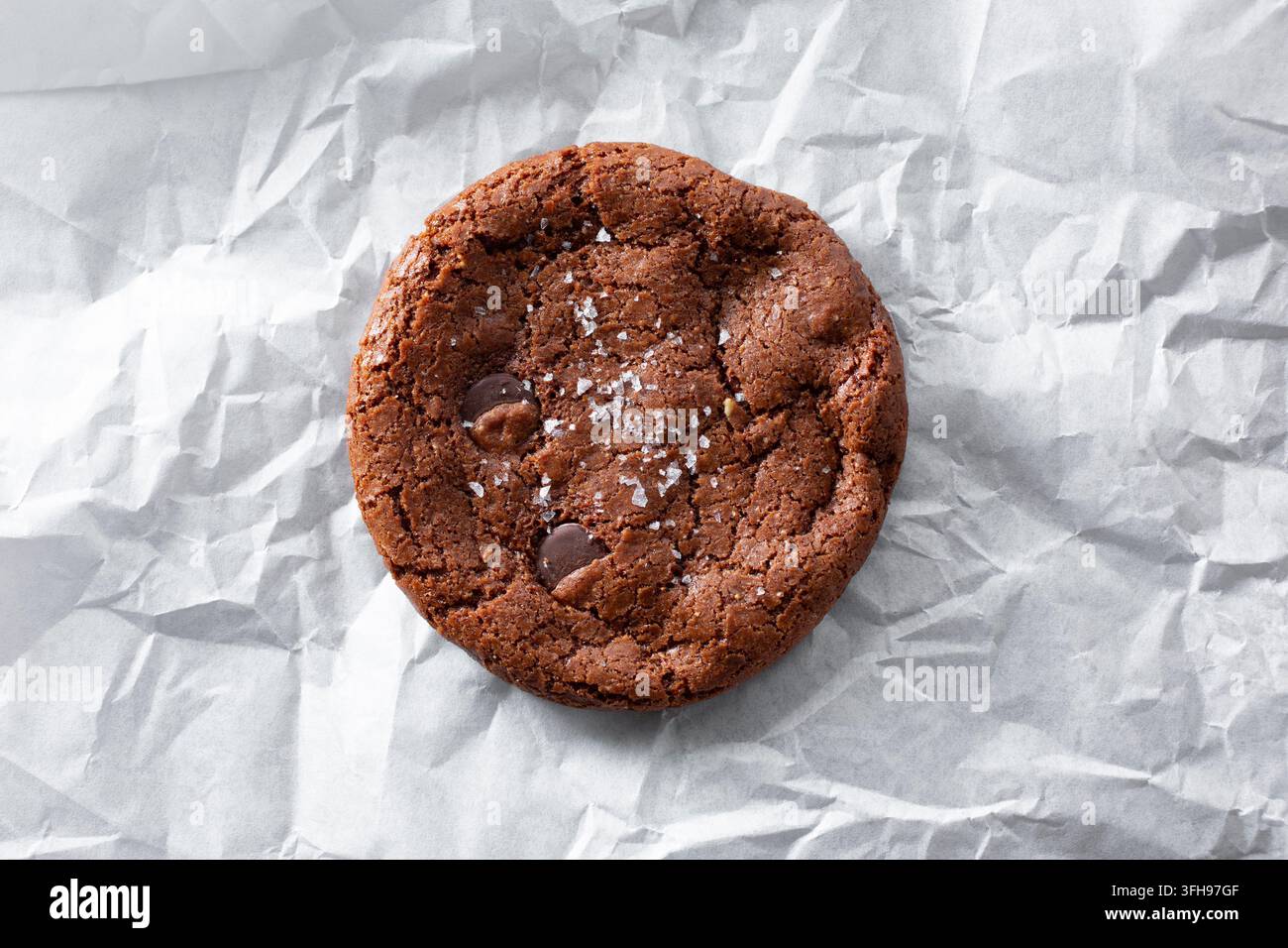 Una vista dall'alto di un biscotto al cioccolato doppio. Foto Stock