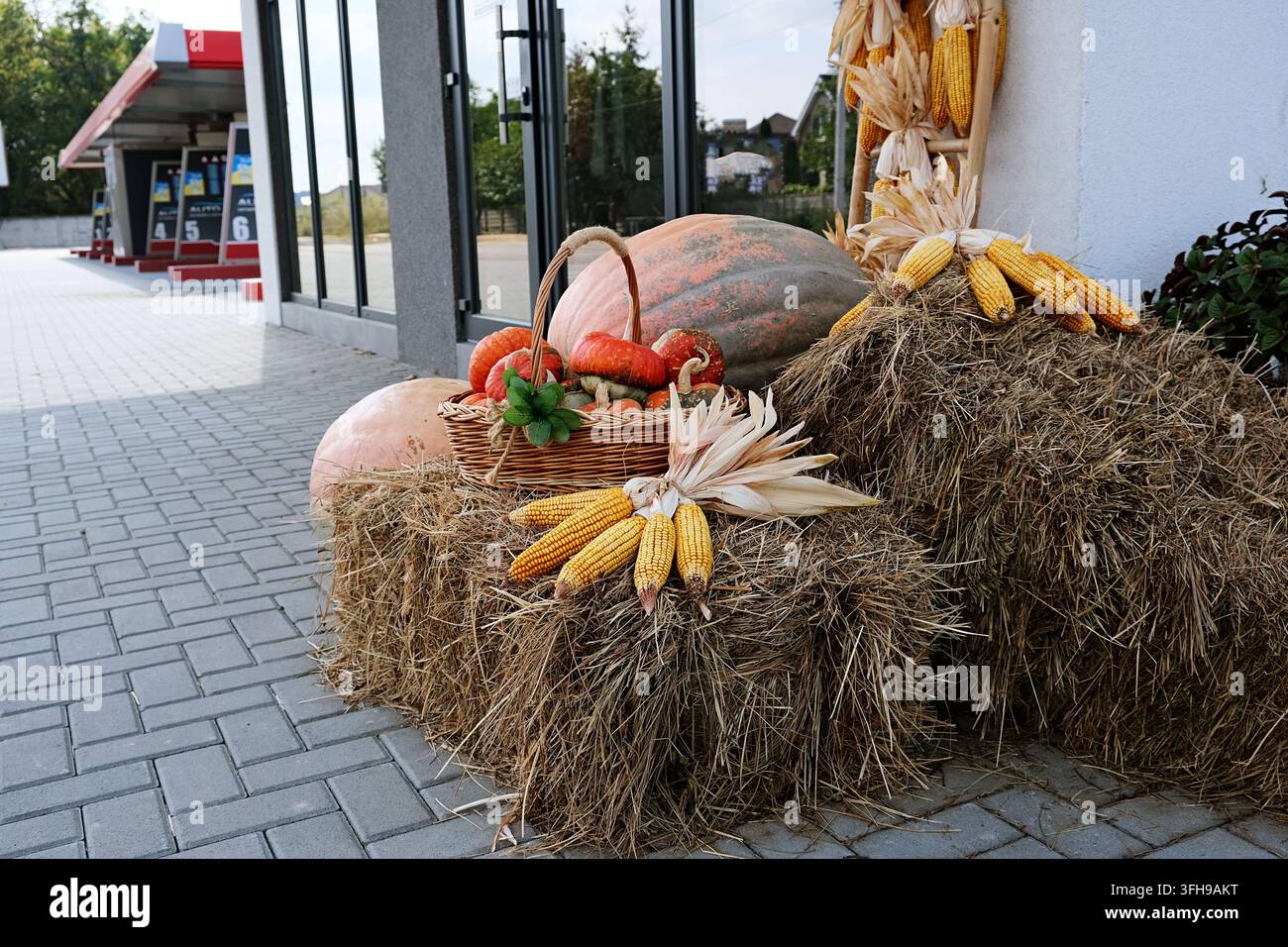 Esposizione di raccolto autunnale con zucche, mais e balle di fieno all'aperto Foto Stock