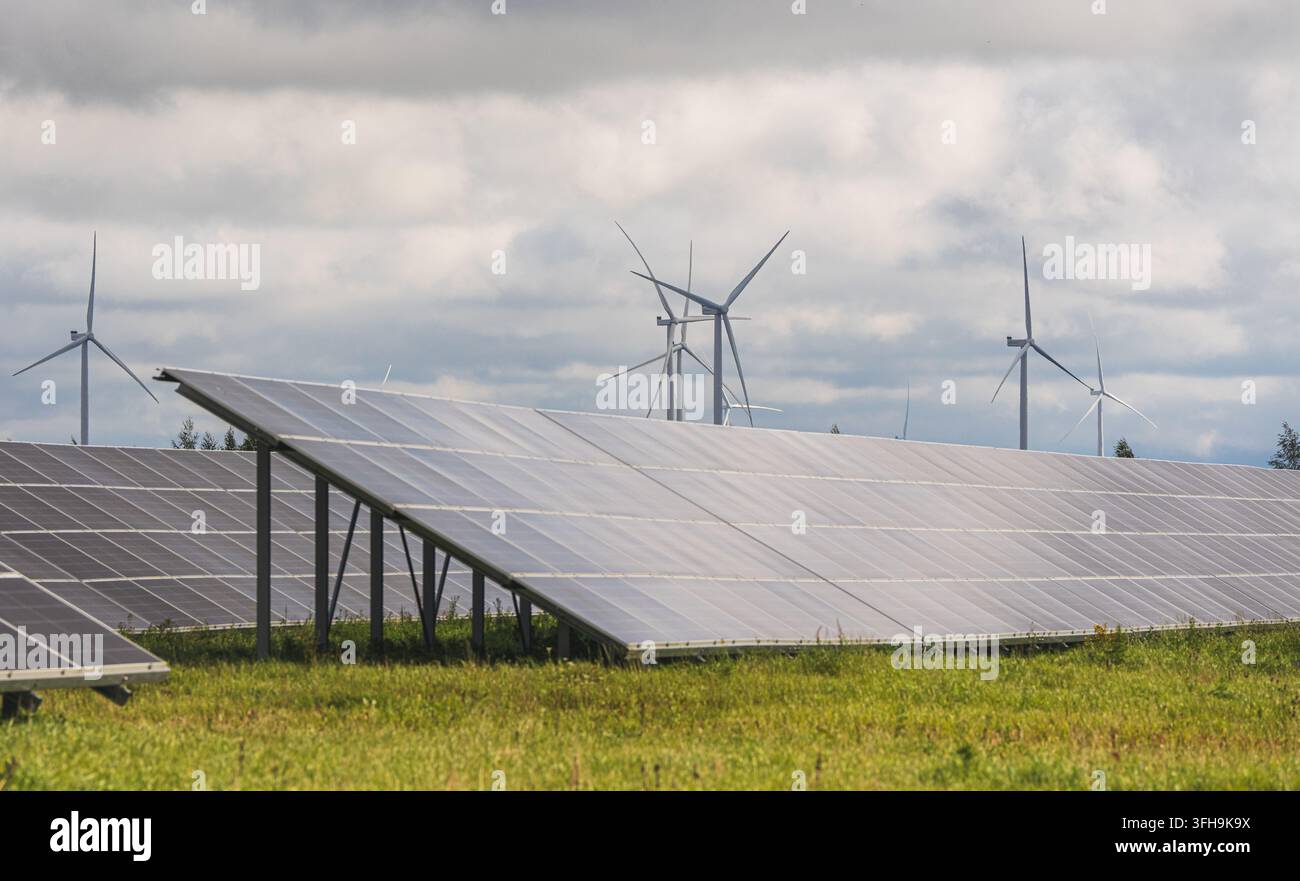 File di pannelli solari in un campo erboso con turbine eoliche sotto nuvole scure, generazione combinata di energia solare ed eolica. Foto di alta qualità Foto Stock