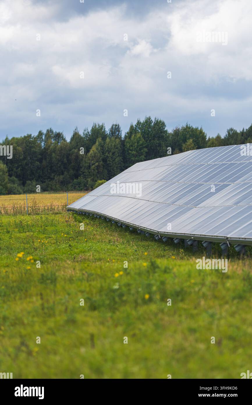 Panelli solari in un campo erboso con fiori selvatici gialli accanto a una fila di alberi sotto un cielo nuvoloso, installazione rurale di energia rinnovabile. Foto di alta qualità Foto Stock