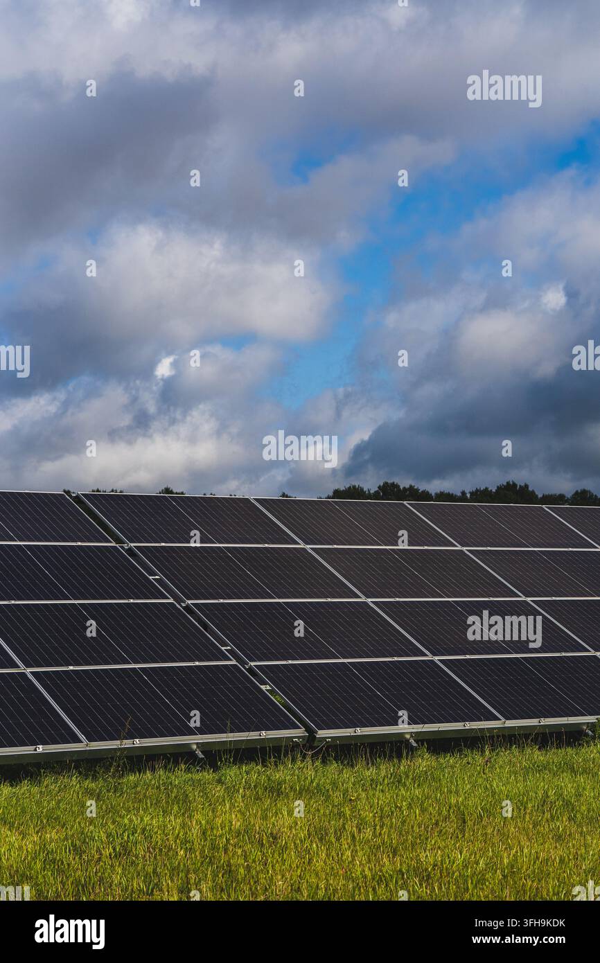 Panelli solari montati a terra in un campo erboso sotto nuvole drammatiche e cielo blu, vista verticale di un'installazione di energia rinnovabile. Ph di alta qualità Foto Stock