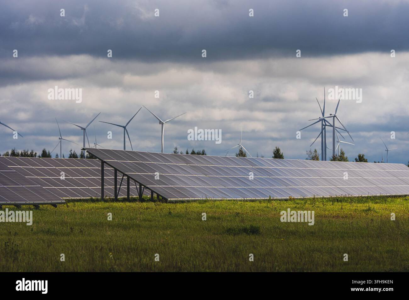File di pannelli solari in un campo erboso con turbine eoliche sotto nuvole scure, generazione combinata di energia solare ed eolica. Foto di alta qualità Foto Stock