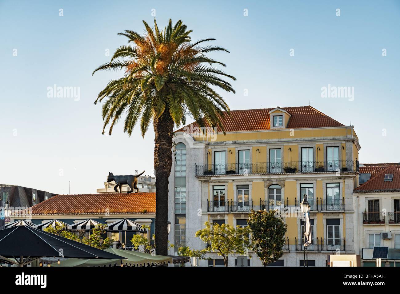 Vista di una palma che si erge davanti a un edificio storico giallo con tegole di terracotta e una statua di gatto sul tetto a Setubal, Setubal, Portogallo. Foto Stock