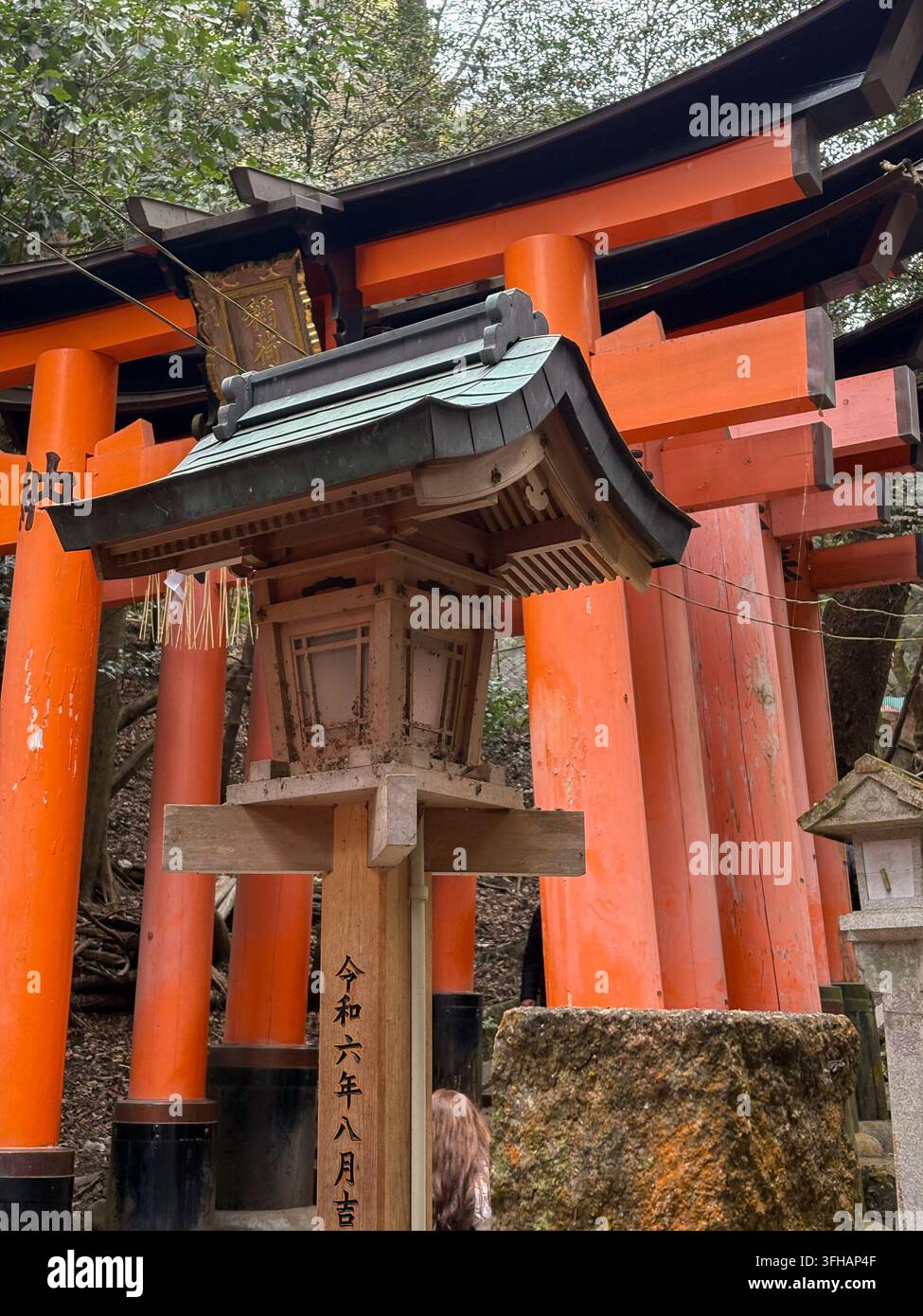 Enormi porte torii vermiglie e lanterne di legno al santuario di Fushimi Inari Taisha a Kyoto, Giappone. - Immagine stock catturata con smartphone