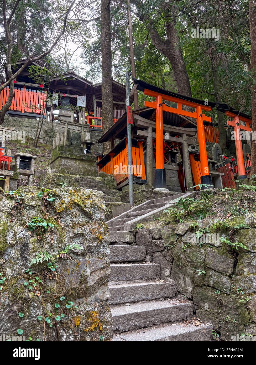 Scalinata in pietra che conduce a sottosantuari terrazzati e porte torii nella foresta sacra del Monte Inari a Kyoto, Giappone - Immagine stock catturata con smartphone