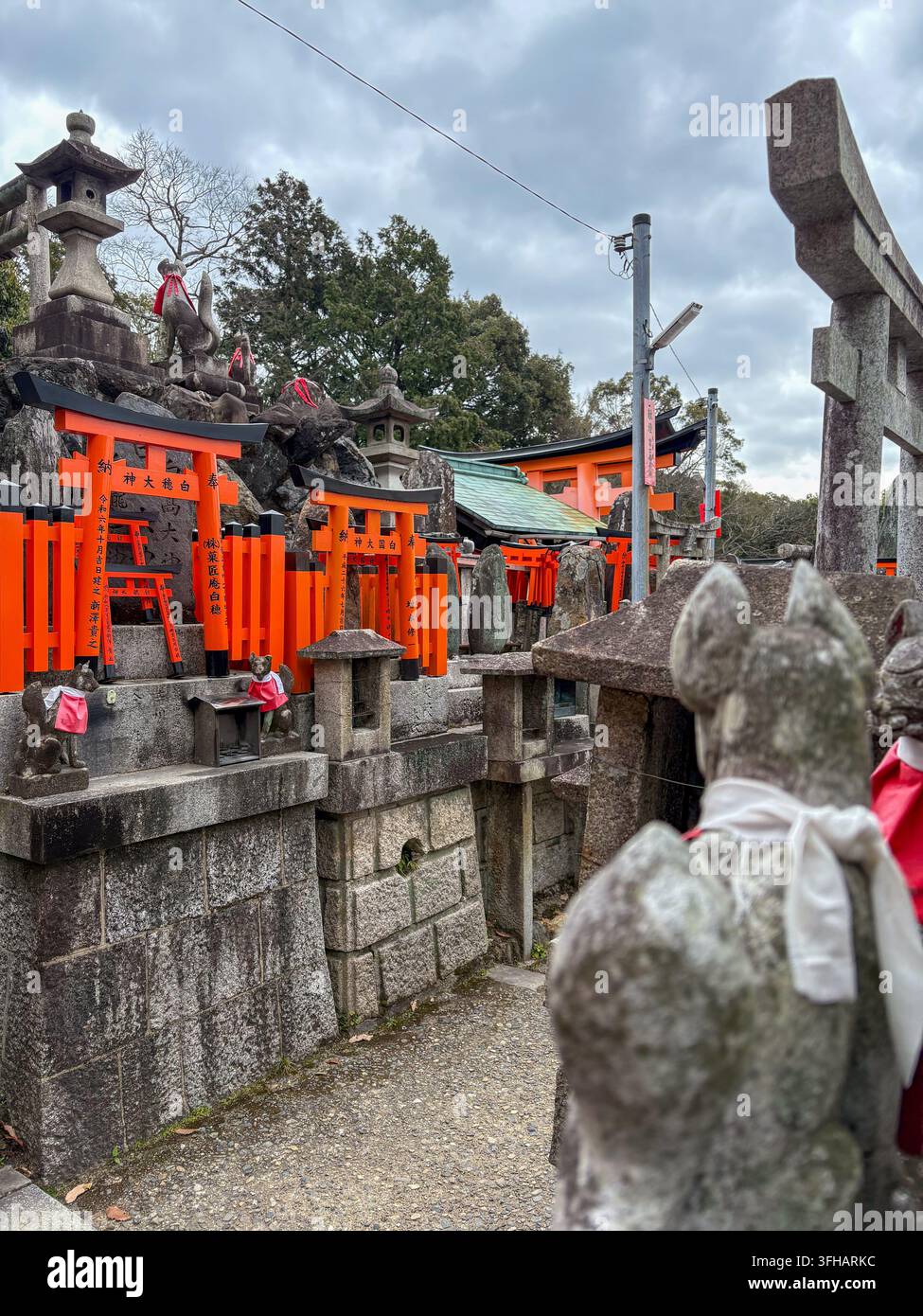 Altari di pietra sacri con statue di volpe in pietra e cancelli torii arancioni al santuario di Fushimi Inari a Kyoto, Giappone. - Immagine stock catturata con smartphone