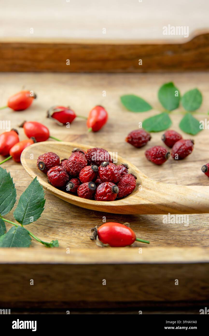 Vista laterale di Rosa canina essiccata, la rosa canina o le bacche di rosa canina su un cucchiaio di legno, decorata con bacche fresche e foglie di rosa canina verdi. Foto Stock