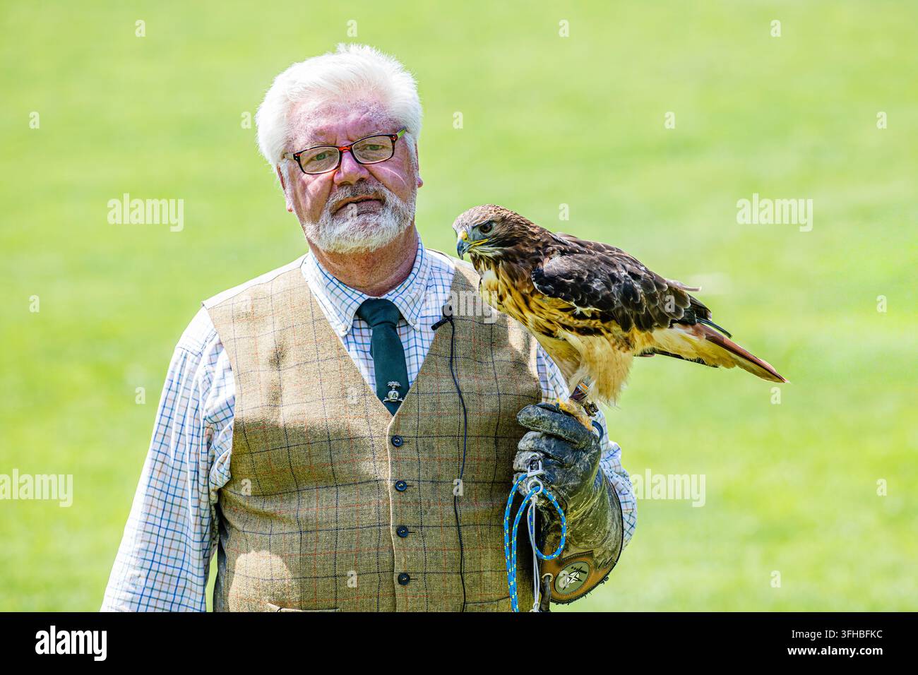 Paul Manning, falconiere di Lord Montagu Foto Stock