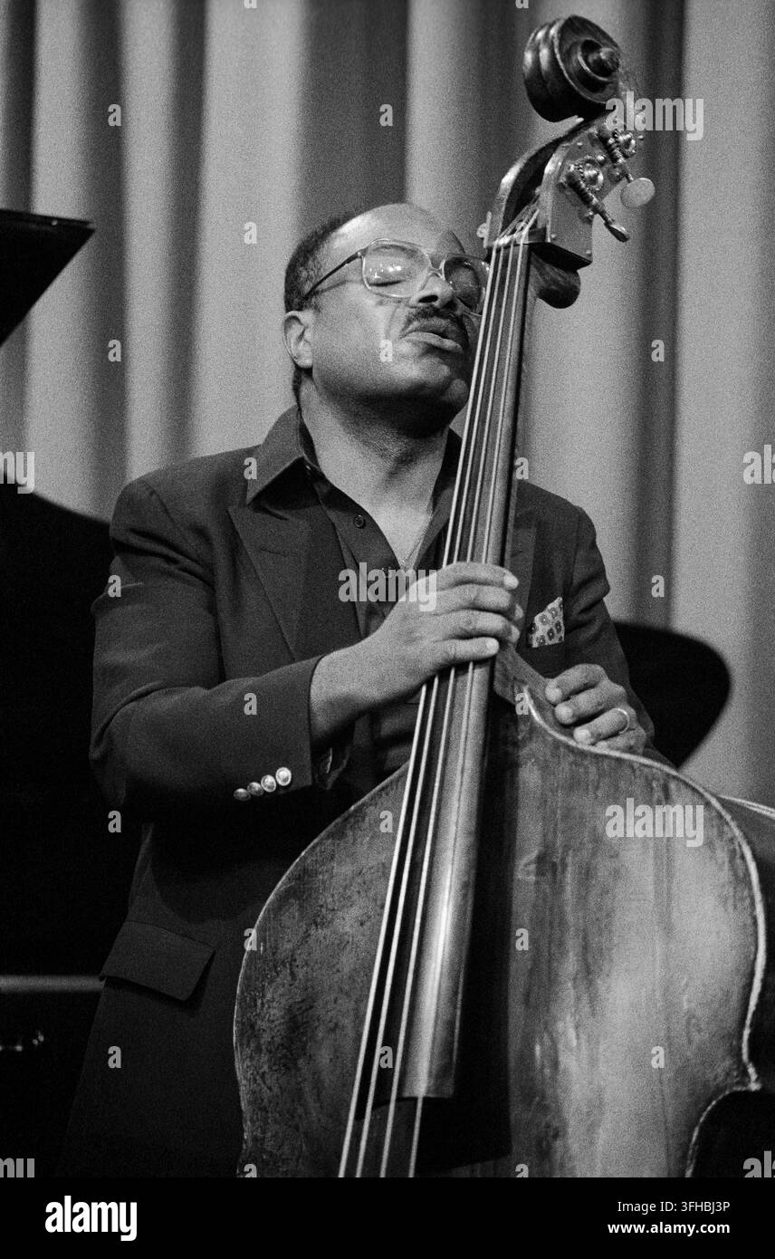 BRECON, GALLES – 20 AGOSTO 1988: Il contrabbassista di jazz americano Charlie Haden fotografato durante una performance al Coleg Powys durante il festival annuale di jazz di Brecon. Visto in un primo piano medio, indossa una giacca scura e occhiali, mentre si china intimamente sul collo del suo contrabbasso con gli occhi chiusi in profonda concentrazione. Questa fotografia musicale in bianco e nero d’archivio offre uno sguardo sull’intensa espressione emotiva e sul focus tecnico del leggendario maestro di jazz avanguardistico durante la sua tournée europea della metà degli anni ’80. Foto Stock