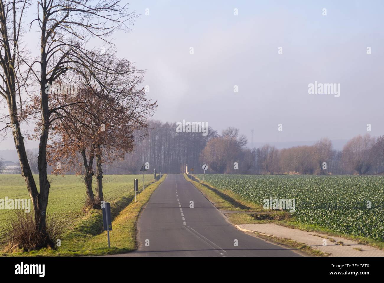 Una strada di campagna deserta si snoda tra terre agricole verdi sotto un cielo nebbioso, enfatizzando la tranquillità e l'ampia apertura di un ambiente rurale perfetto per Foto Stock