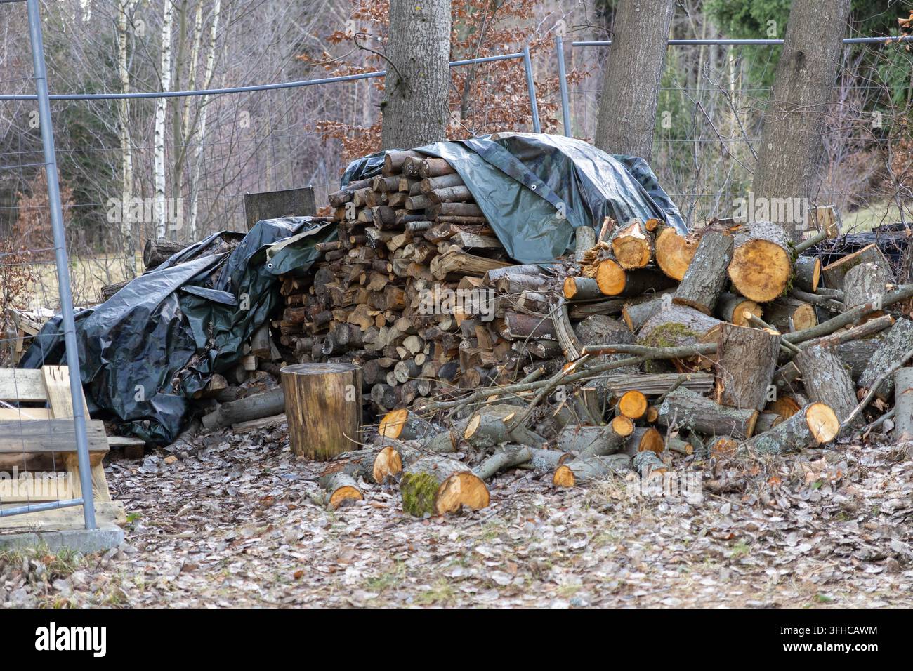 Accatastamento di legno naturale per il riscaldamento, ceppi sotto un telo, con legname sparso e foglie secche, evidenzia l'energia domestica sostenibile e il calore Foto Stock