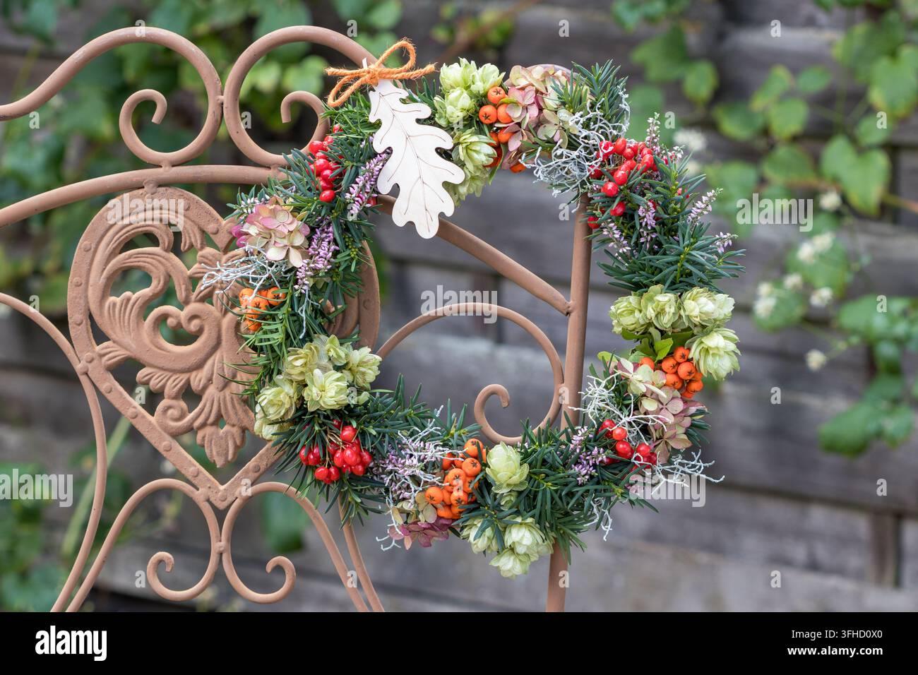 Ghirlanda di fiori di ortensia, bacche, luppolo, erica, rametti di tasso e pianta di filo d'argento appesa a una sedia da giardino Foto Stock