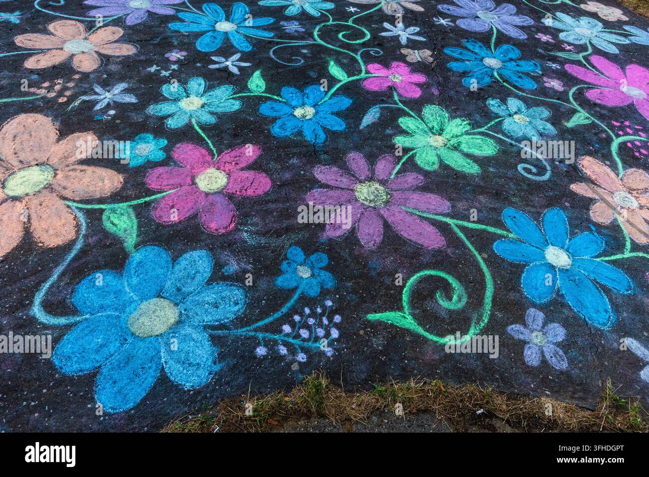 Disegno floreale colorato con gesso su pavimentazione in asfalto Foto Stock