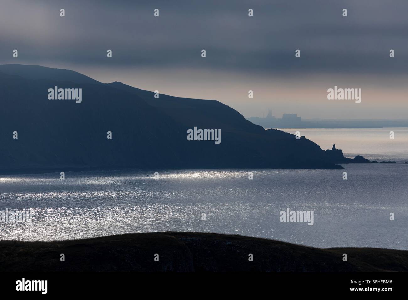 St. Abbs Head, Confini scozzesi, Scozia, Regno Unito Foto Stock