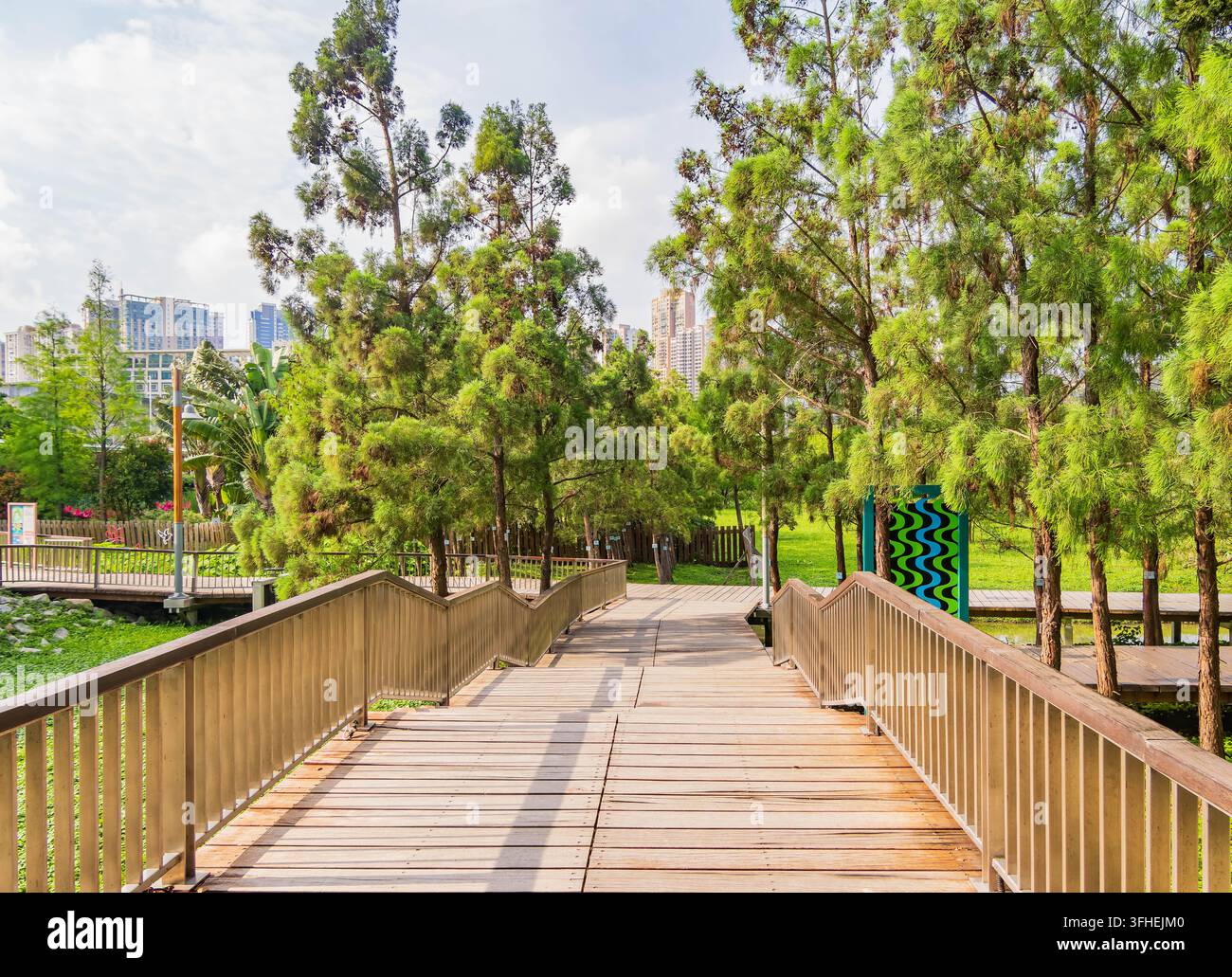 Un sentiero di legno lastricato attraversa un vivace ambiente di parco verde sotto un cielo blu brillante. Foto Stock
